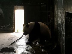 景点-临沂动植物园