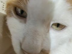 -平行世界·猫咖(首经贸店)