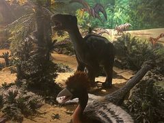 -安徽省地质博物馆