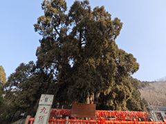 -四门塔风景区