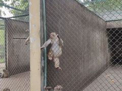-合肥野生动物园