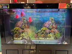 -东四民芳餐厅(世茂工三店)