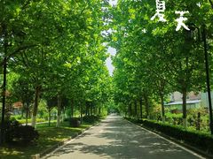 -大渡口区义渡公园