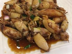 -鸿达渔港