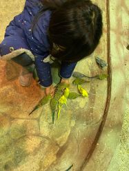 -宝燕乐园(闵行旗舰店)