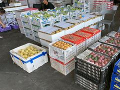 -西郊国际农产品交易中心