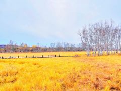 -塞罕坝国家级自然保护区