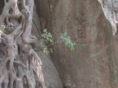 -青礁慈济宫