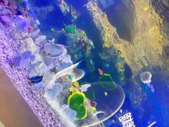 -沙沙哗啦海洋馆(华宇百花谷店)