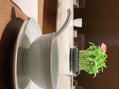 -初蓉丨遇见新川菜(亲贤街荣耀店)