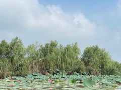 -焦岗湖旅游度假区