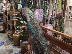 -老牌坊云南鱼豆花火锅(爱建店)