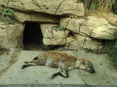 -北京野生动物园