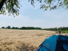 -东郊湿地公园