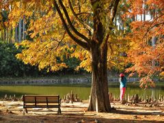 -华南国家植物园-售票处