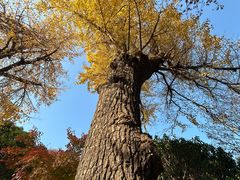-狼山风景名胜区