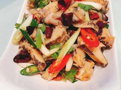 炝拌假鲍鱼-正黄旗海鲜烧烤大排档(延安路总店)