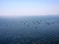 -渔公码头·九龙湾国际饭店
