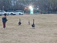 -蓝地时尚庄园(北京清河营地铁站店)