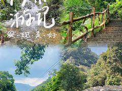 -南丹山森林王国