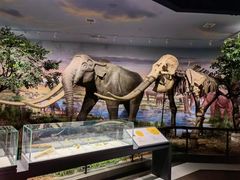 -湖南省地质博物馆