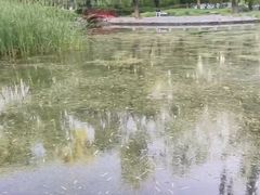 -玲珑塔公园