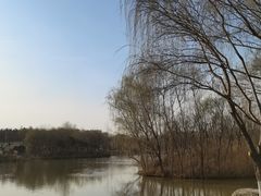 -西安浐灞国家湿地公园