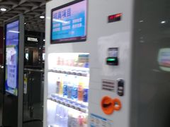 -潭村(地铁站)