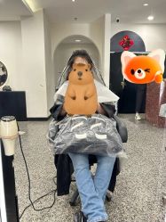 -SWANK SALON