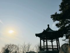 -大兴滨河森林公园