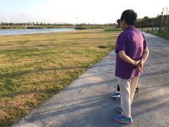 -春花秋色城市公园