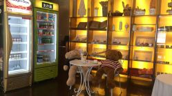 迎宾区-上海浦东华美达大酒店·宴会厅