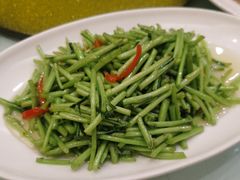 清炒水芹-苏启渔港(云南北路店)
