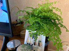 -秦美花卉(天朗·莱茵小城2期店)