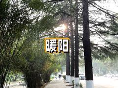 -西南交通大学(九里校区)