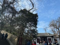 -焦山风景区