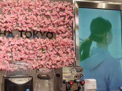 -THE MATCHA TOKYO抹茶东京