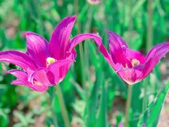 -长春公园(普阳街道)