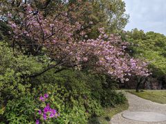 -上海市龙华烈士陵园