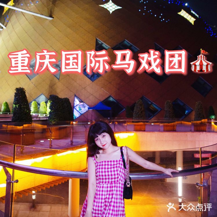 国际顶尖杂技表演‼️全场惊叹声掌声👏不断