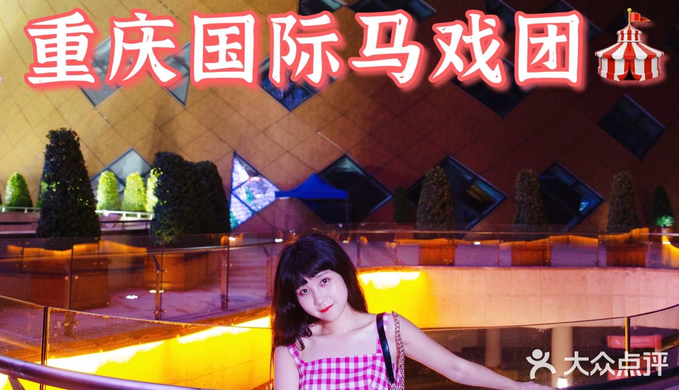 国际顶尖杂技表演‼️全场惊叹声掌声👏不断