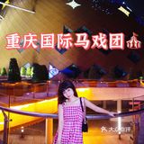 国际顶尖杂技表演‼️全场惊叹声掌声👏不断