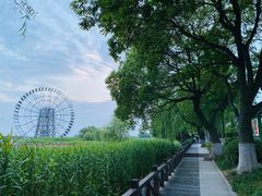 -苏州太湖假日酒店