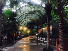 -100蛋泥浆浴