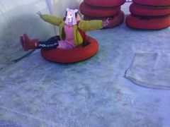 -世界之窗阿尔卑斯冰雪世界