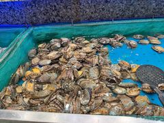 -初色海鲜自助(万丰路店)