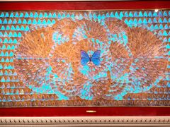 -上海昆虫博物馆