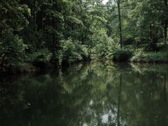 -素山寺森林公园