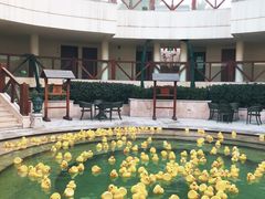 -苏州湾王焰温泉度假酒店