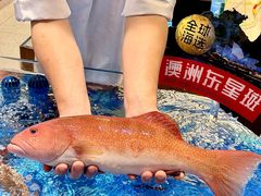 -喜宴又一村·粤菜·茶点·海鲜(壹方天地店)